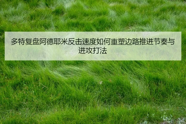 duo-te-fu-pan-a-de-ye-mi-fan-ji-su-du-ru-he-zhong-su-bian-lu-tui-jin-jie-zou-yu-jin-gong-da-fa-3-749.jpg